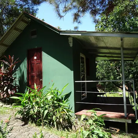 Los Pinos De Torio Exterior foto