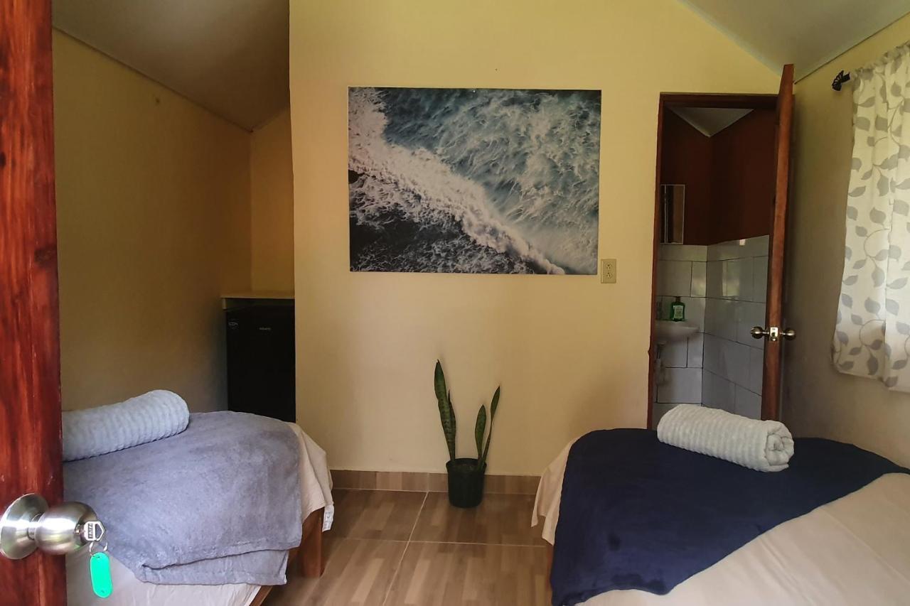 Pinos De Hostal Torio