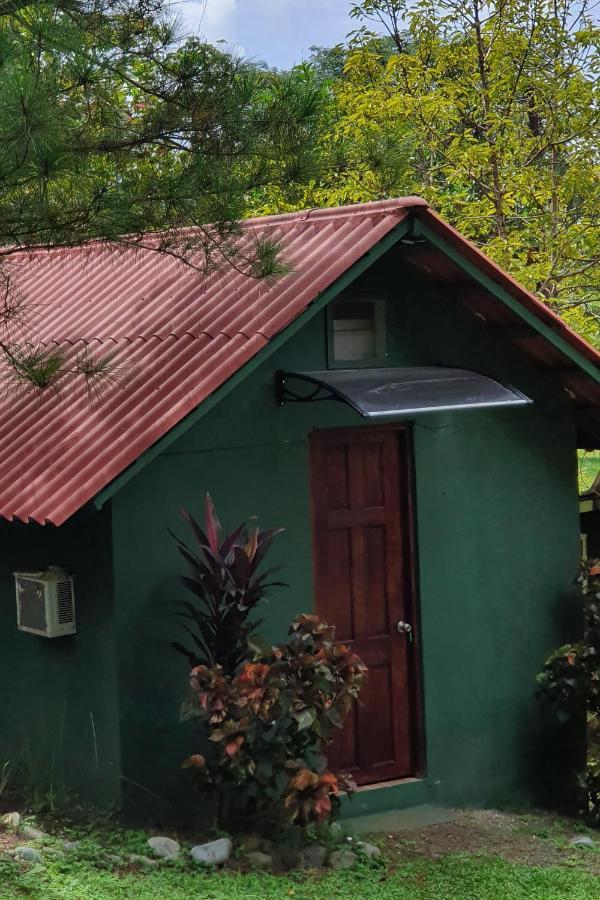 Pinos De Hostal Torio