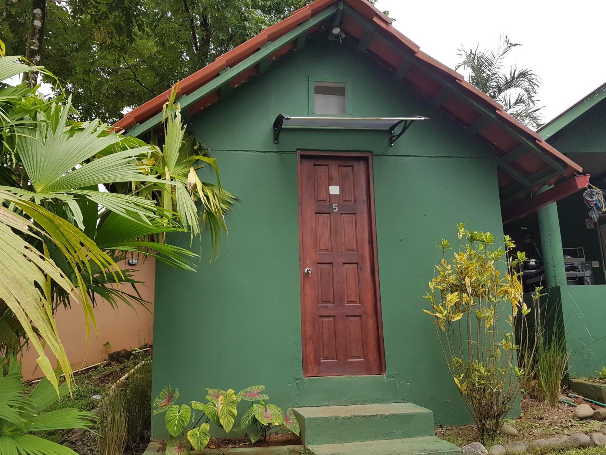 Pinos De Hostal *