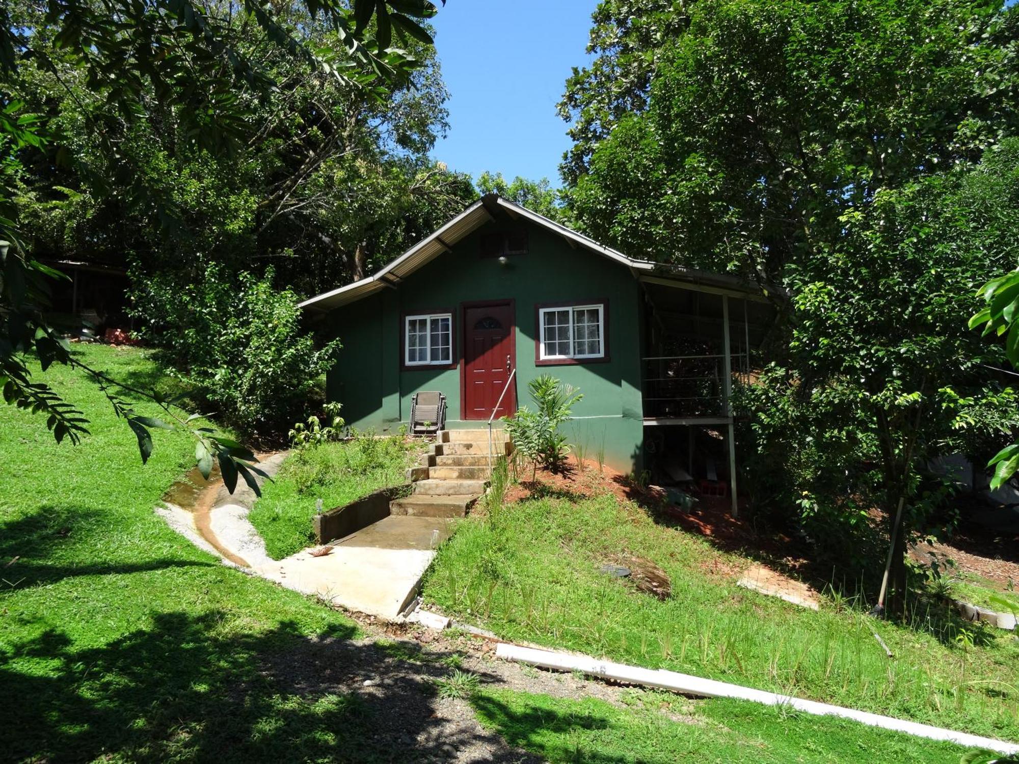Pinos De Hostal *