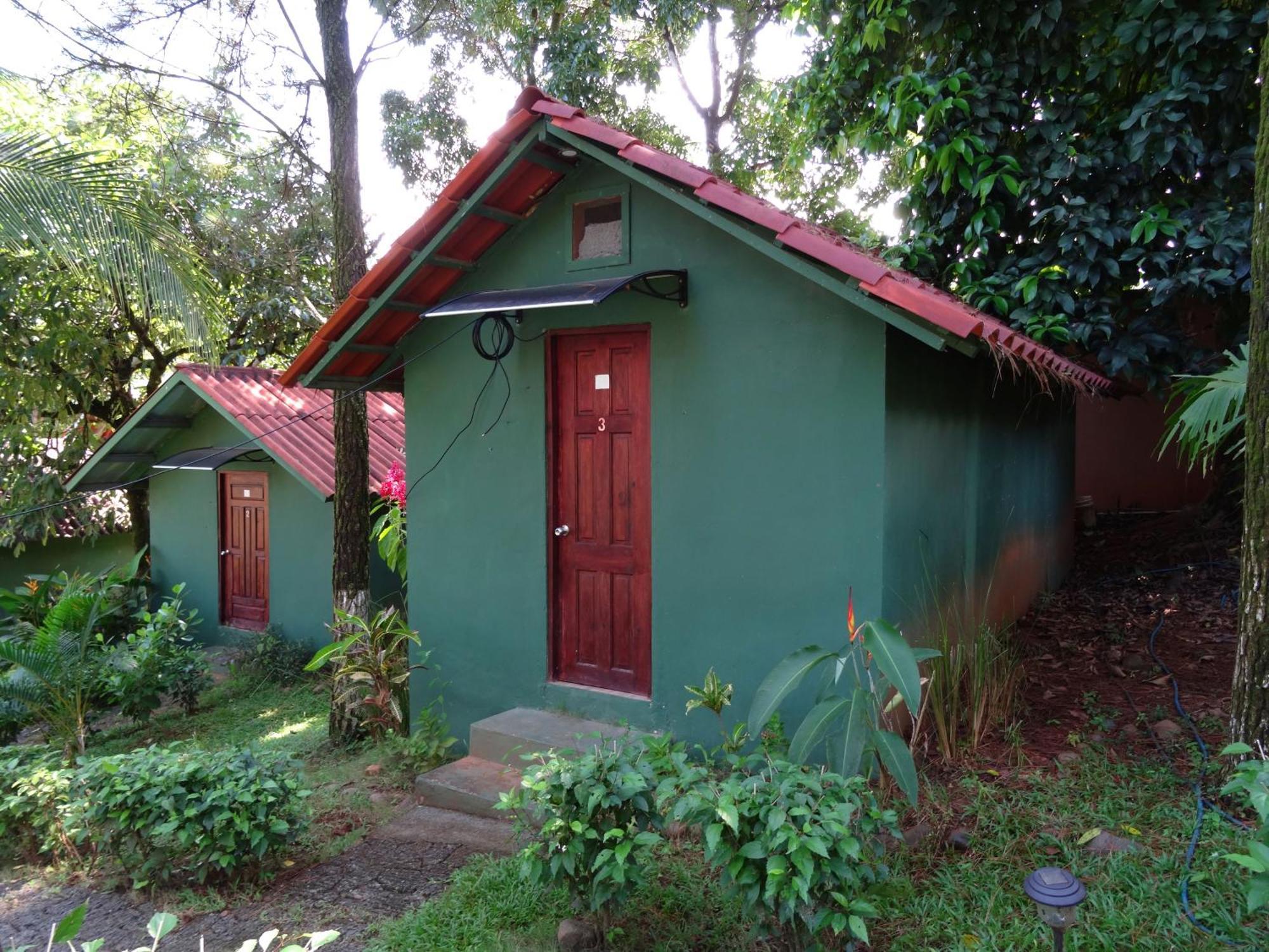Pinos De Hostal *