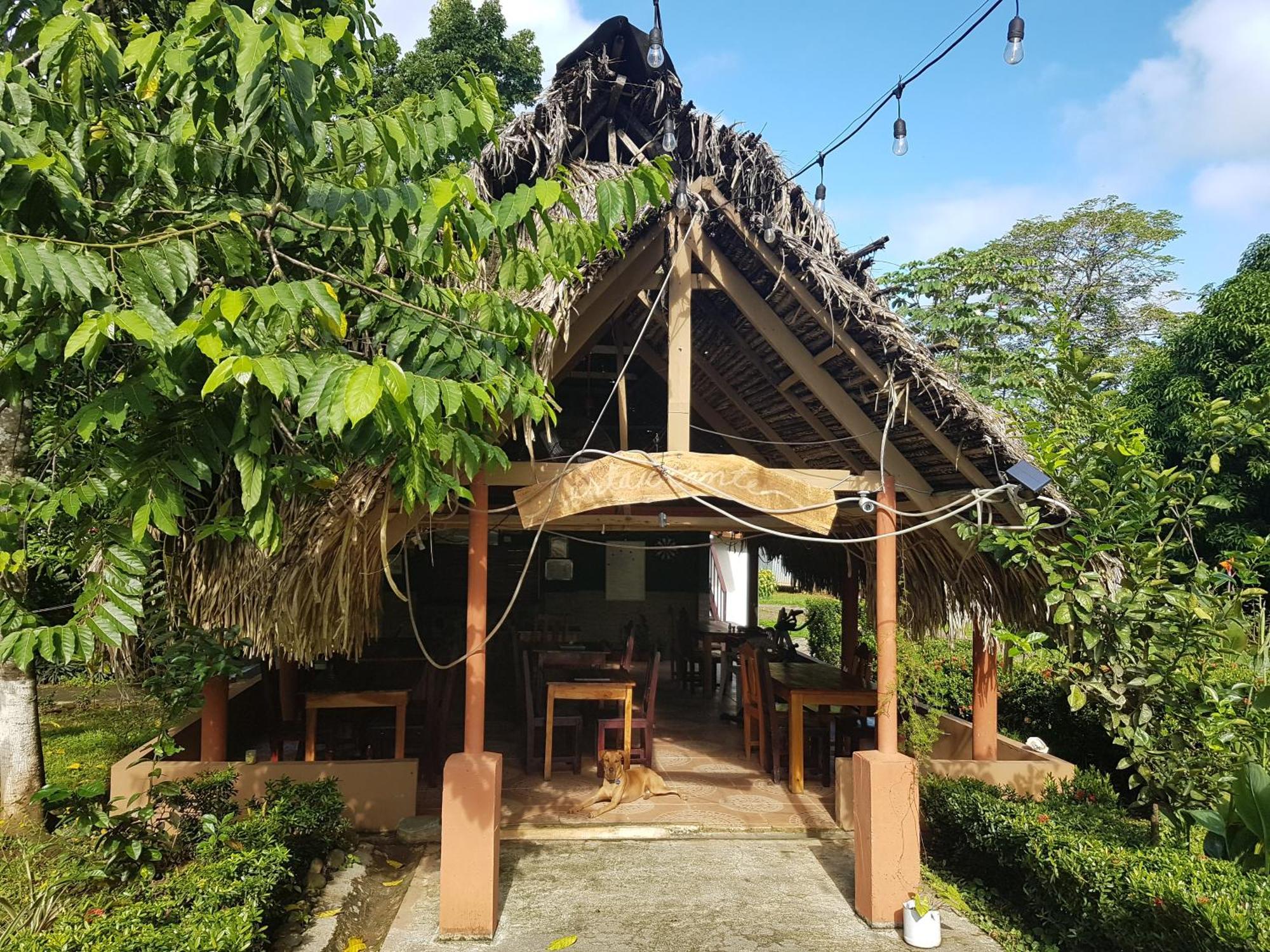 Pinos De Hostal Torio