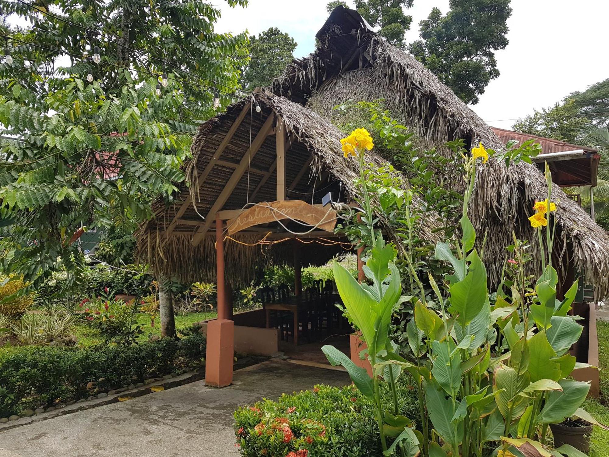 Hostal Pinos De Torio