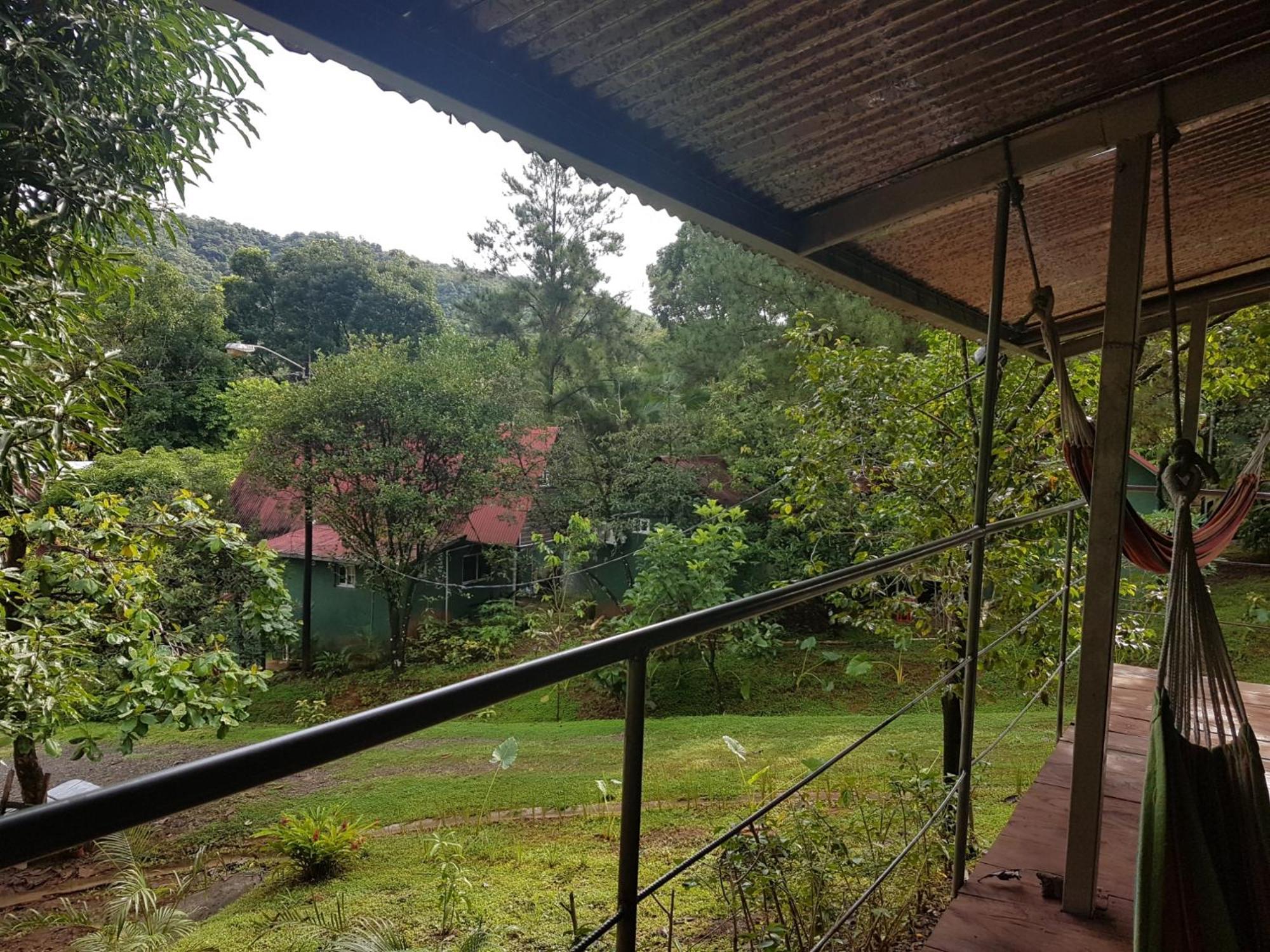 Pinos De Hostal Torio