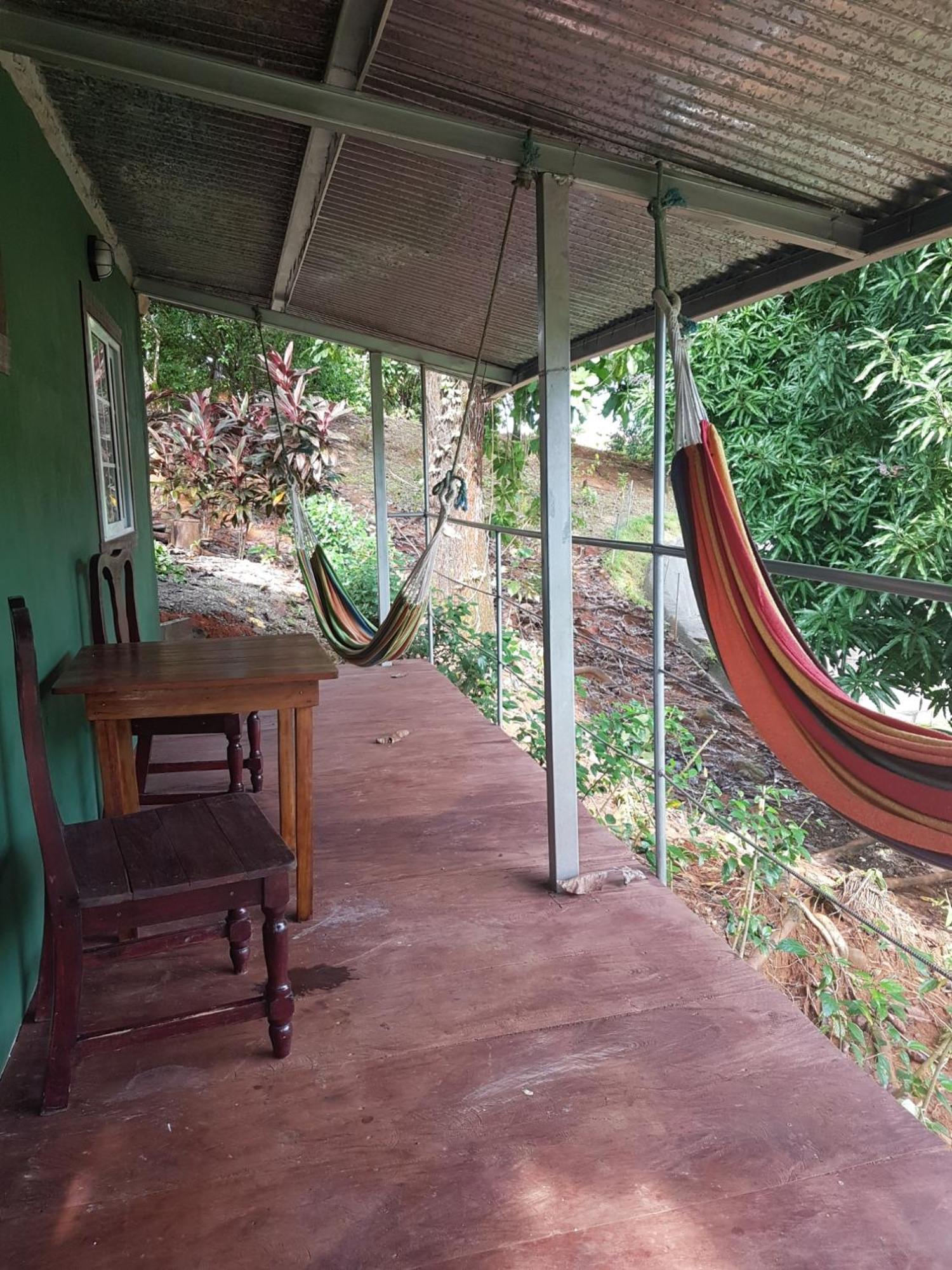 Hostal Pinos De